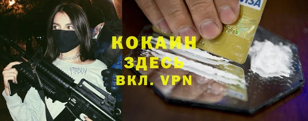 бошки Белокуриха