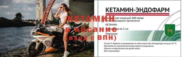 бошки Белокуриха