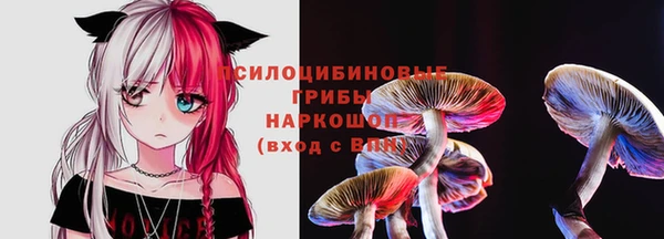 прущие грибы Осташков
