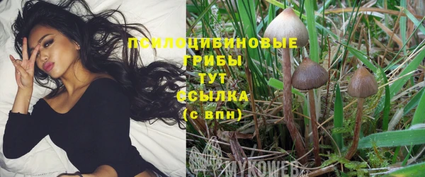 бошки Белокуриха