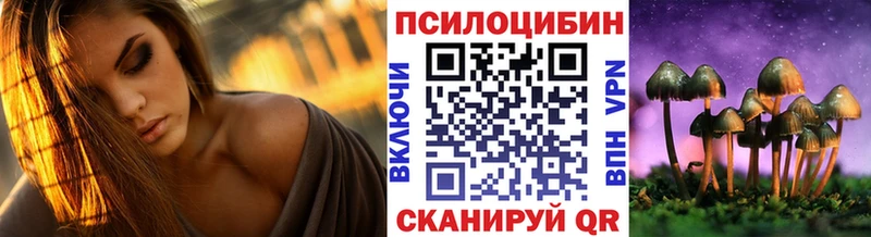 купить Кондопога Галлюциногенные грибы прущие грибы